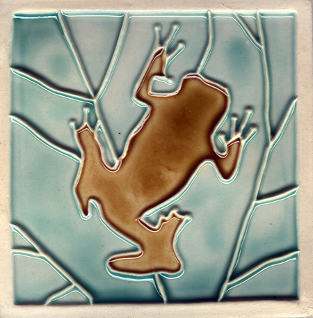 Cuenca Tree Frog