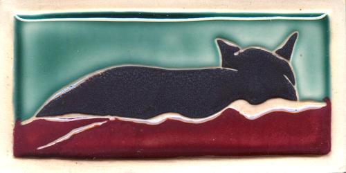 Pete Back, Multicolor